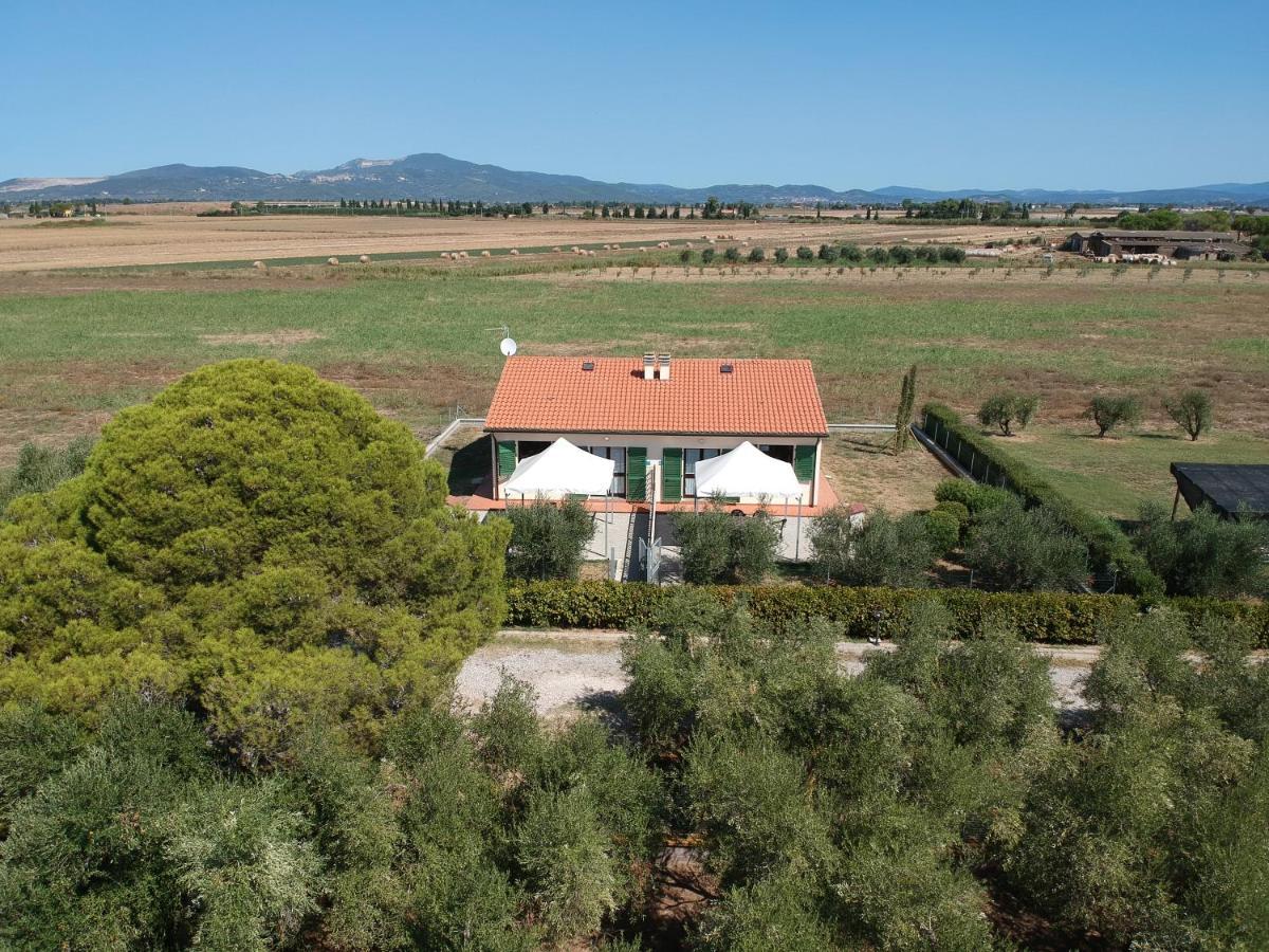 Agriturismo Olivomare Пьомбино Экстерьер фото